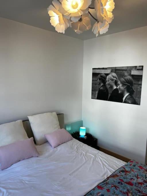 Apartmán Les Pyou-Pyous Nancy Exteriér fotografie